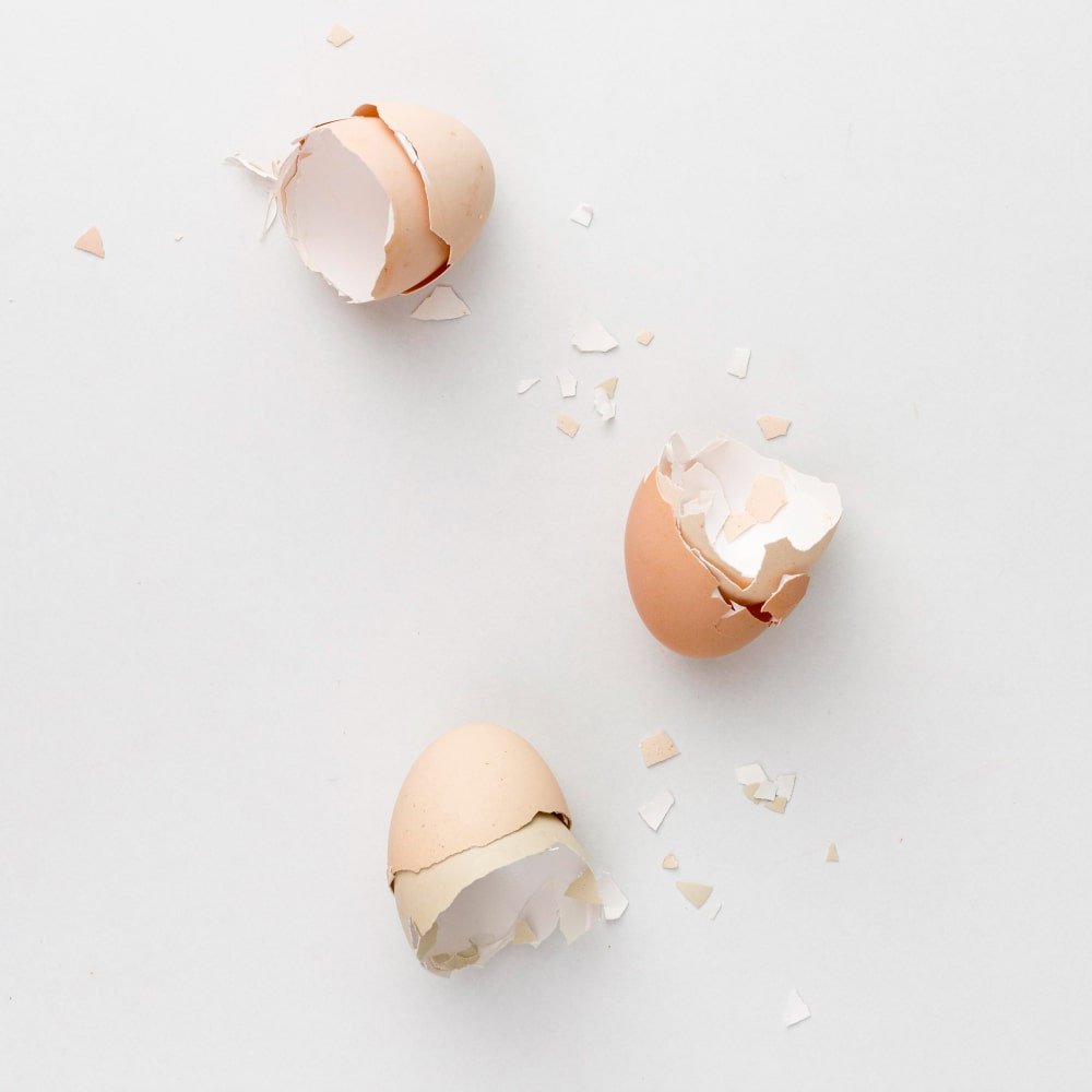 egg shells