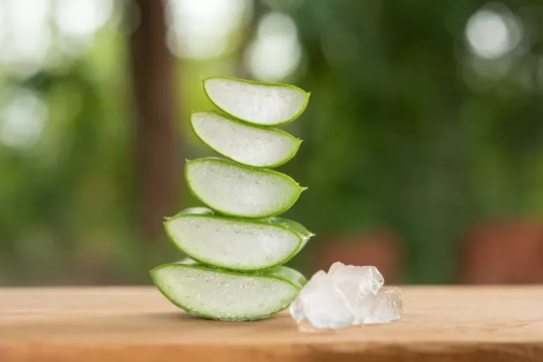 Aloe vera for parrots