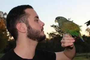 Parrot perched on fingers