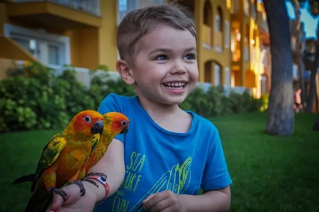 Child standing with a parrot perched on its hand